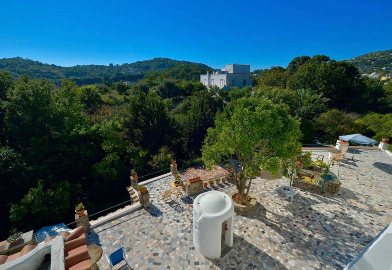 Villa Vincenzo Di Meglio Barano dʼIschia Buitenkant foto