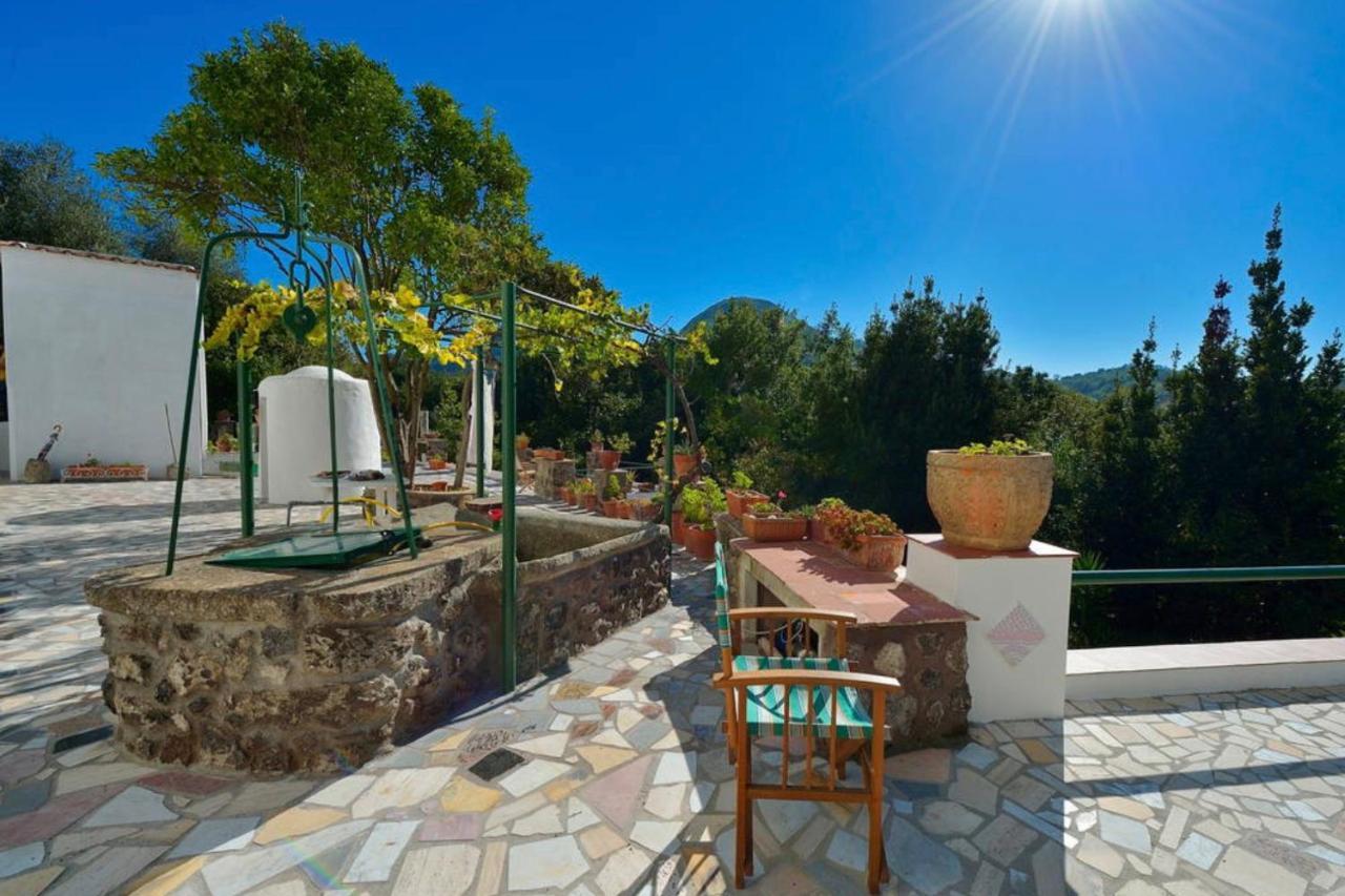 Villa Vincenzo Di Meglio Barano dʼIschia Buitenkant foto