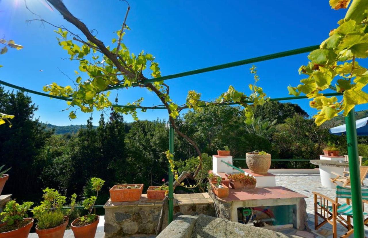 Villa Vincenzo Di Meglio Barano dʼIschia Buitenkant foto