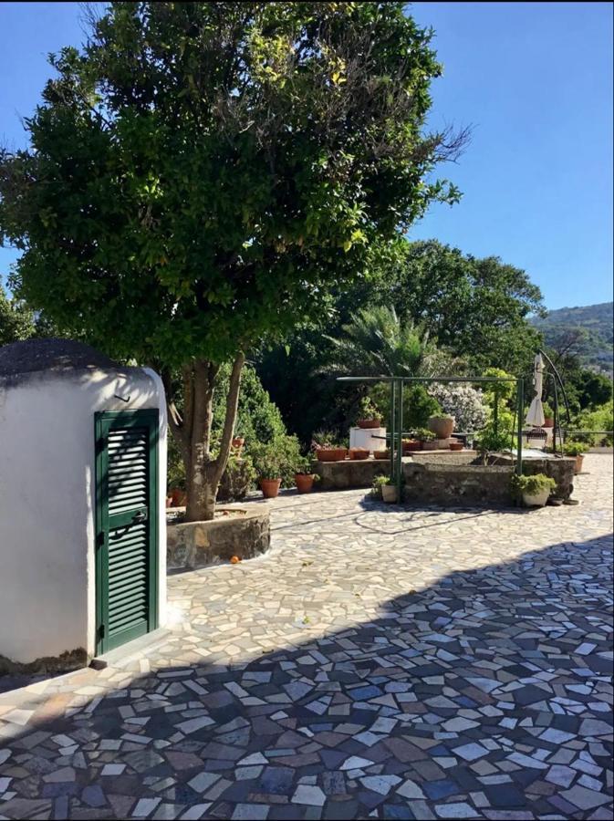 Villa Vincenzo Di Meglio Barano dʼIschia Buitenkant foto