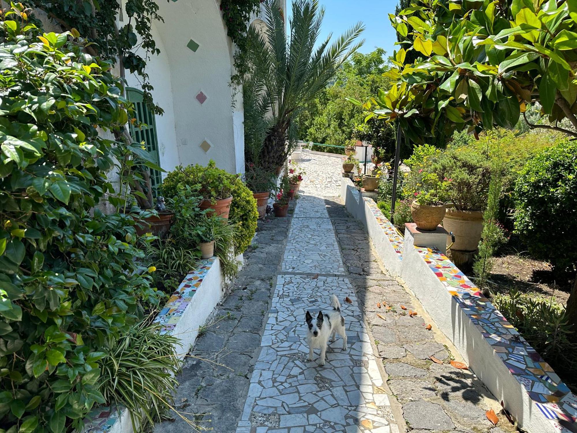Villa Vincenzo Di Meglio Barano dʼIschia Buitenkant foto