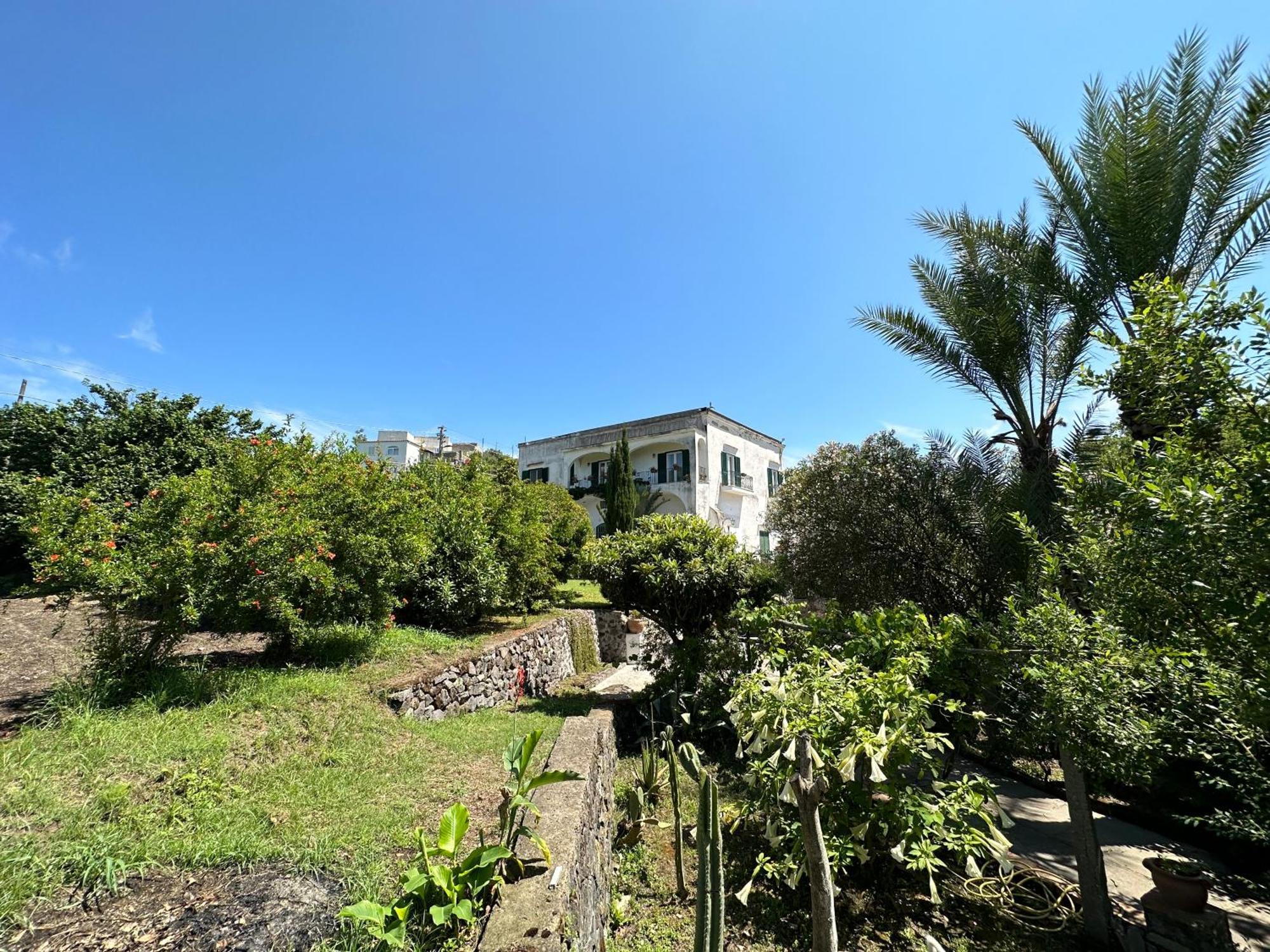 Villa Vincenzo Di Meglio Barano dʼIschia Buitenkant foto