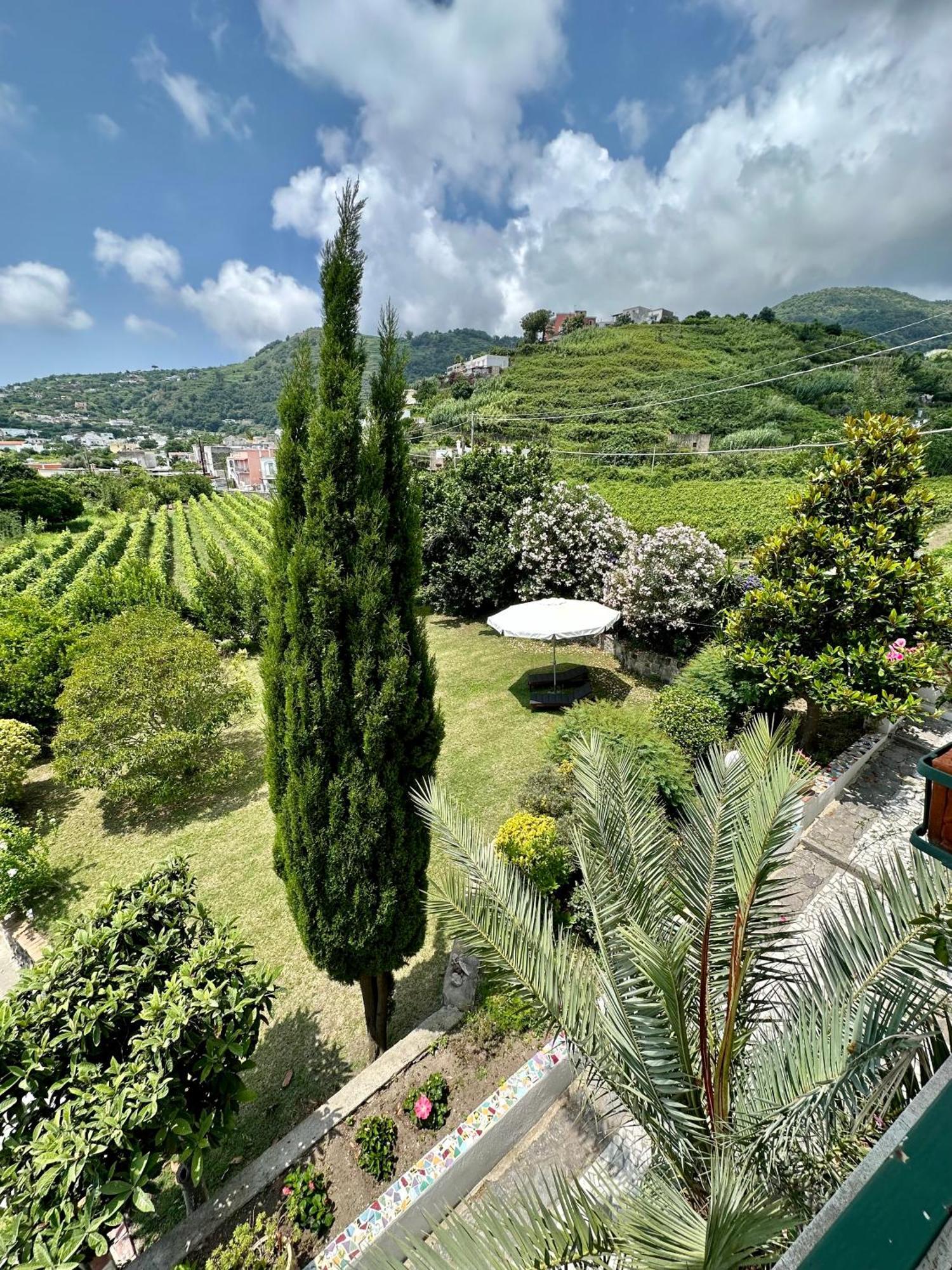 Villa Vincenzo Di Meglio Barano dʼIschia Buitenkant foto