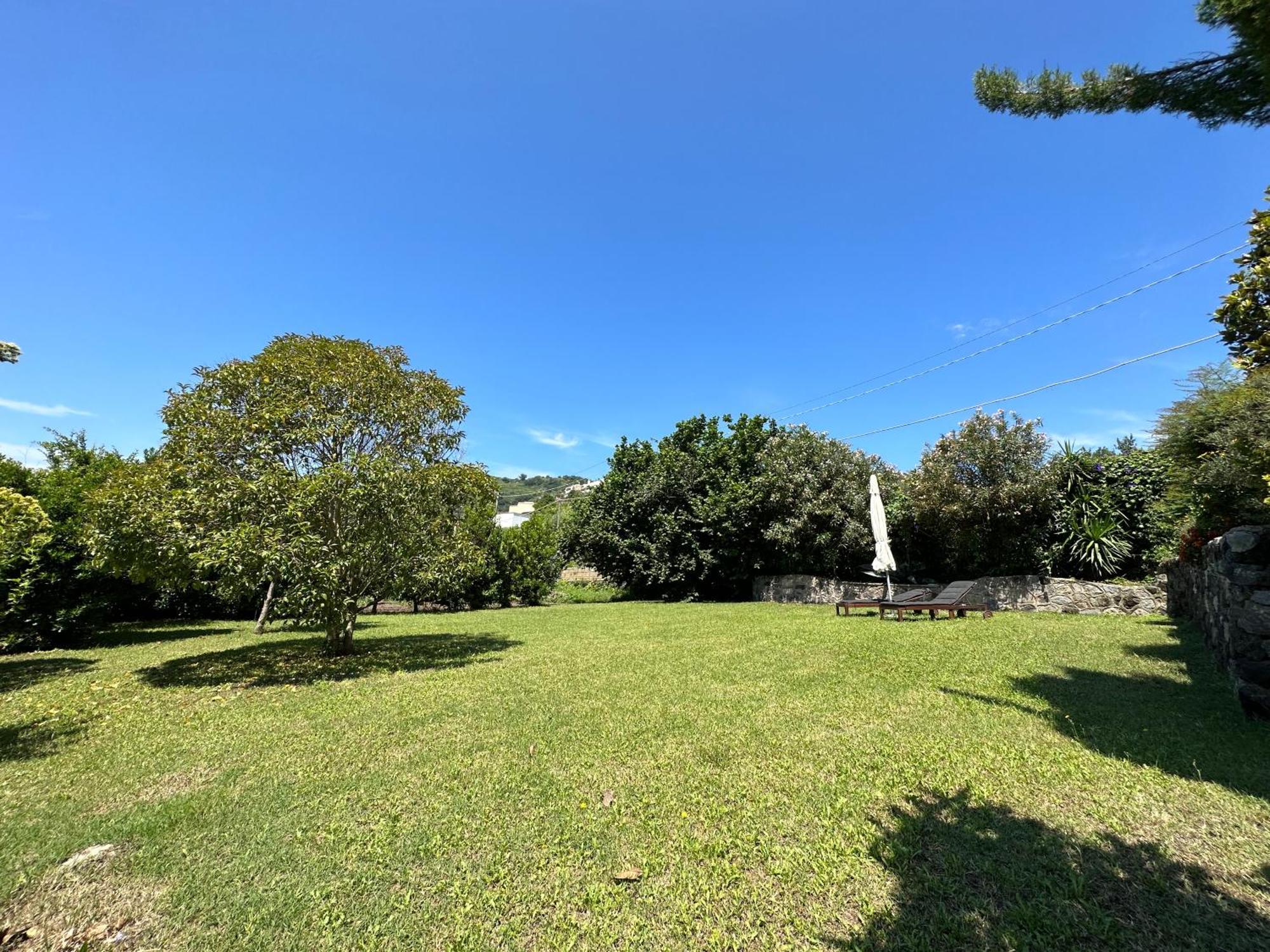 Villa Vincenzo Di Meglio Barano dʼIschia Buitenkant foto