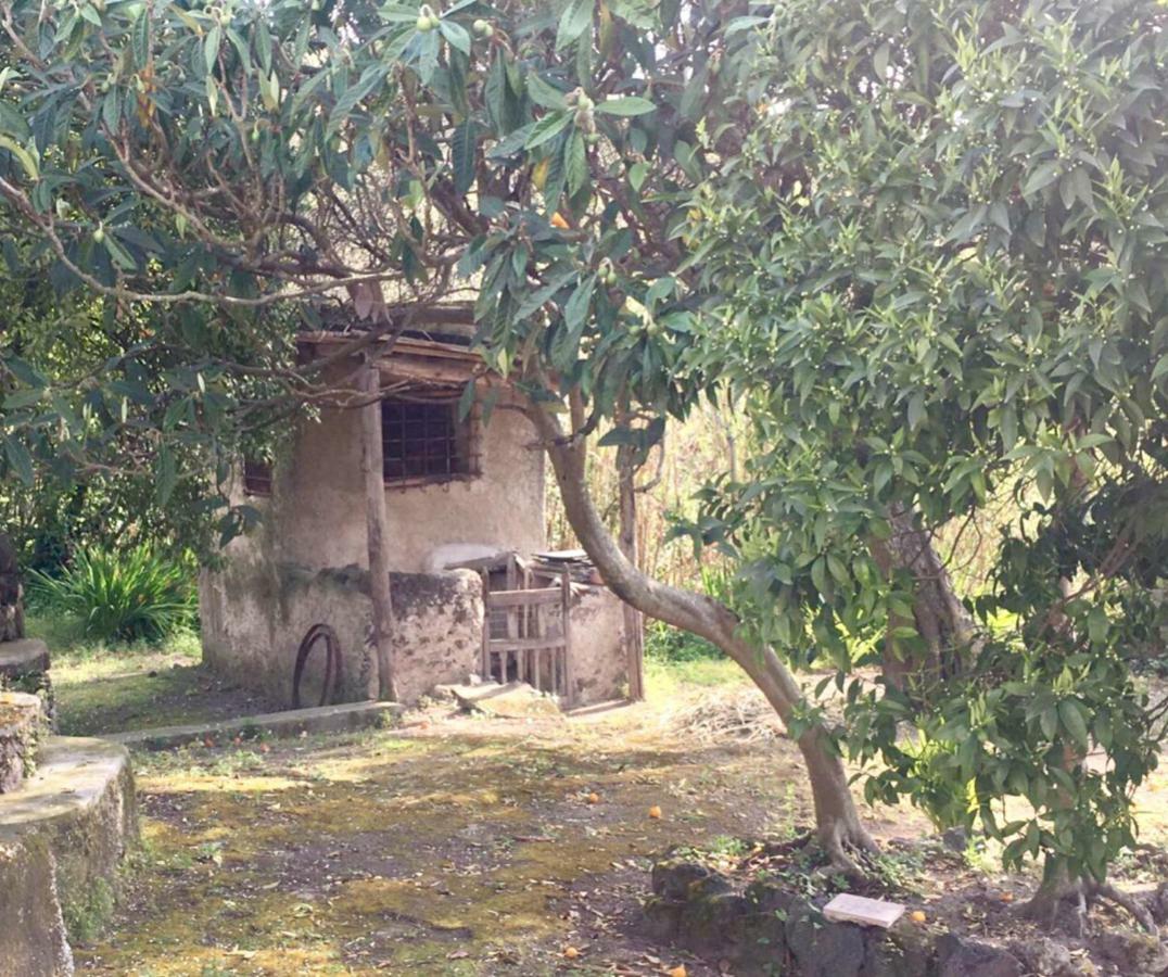 Villa Vincenzo Di Meglio Barano dʼIschia Buitenkant foto