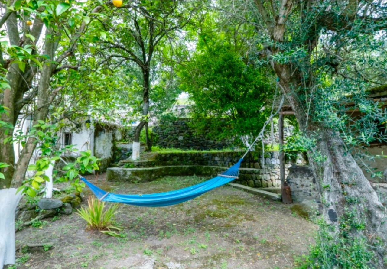 Villa Vincenzo Di Meglio Barano dʼIschia Buitenkant foto