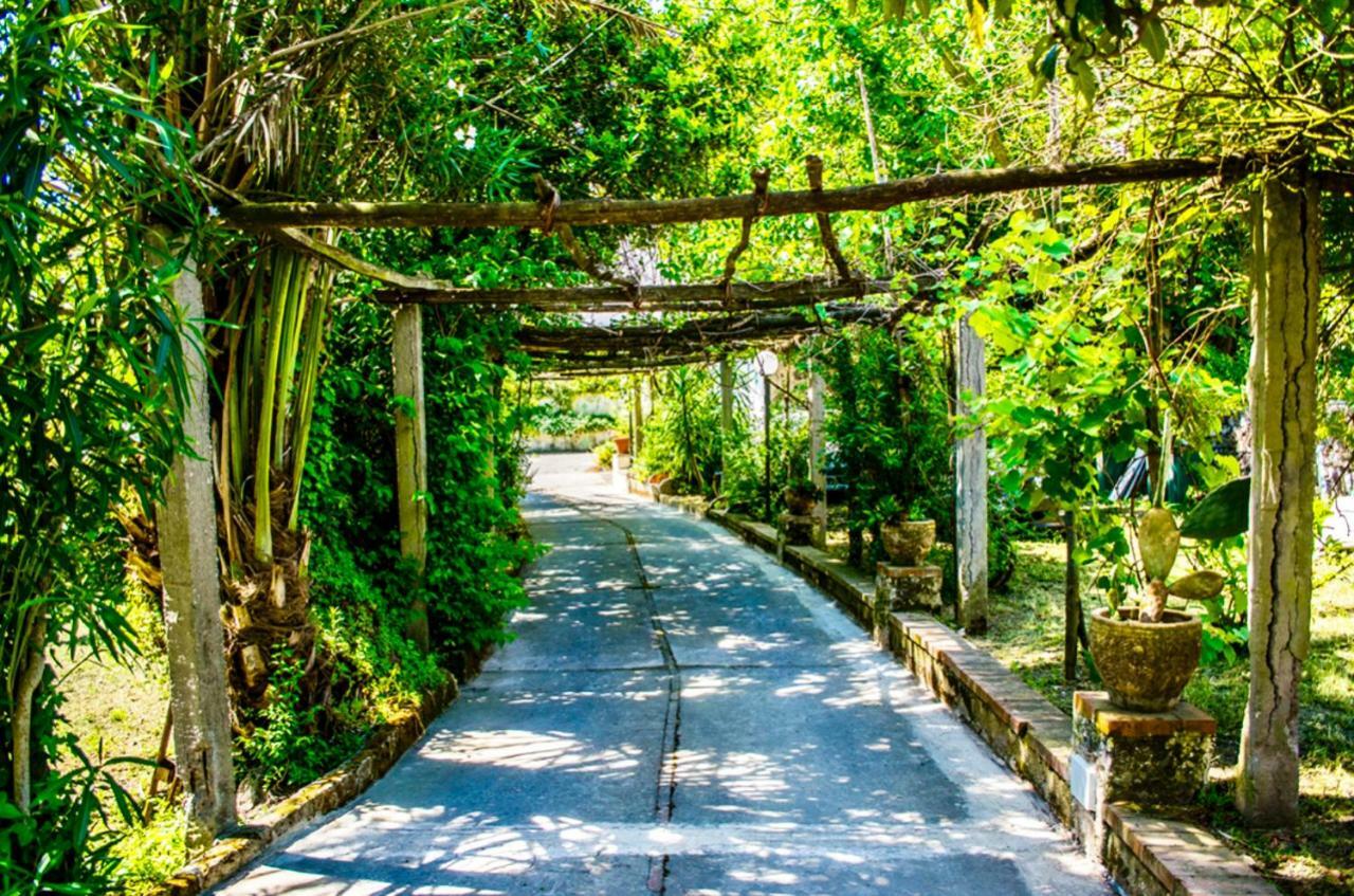Villa Vincenzo Di Meglio Barano dʼIschia Buitenkant foto