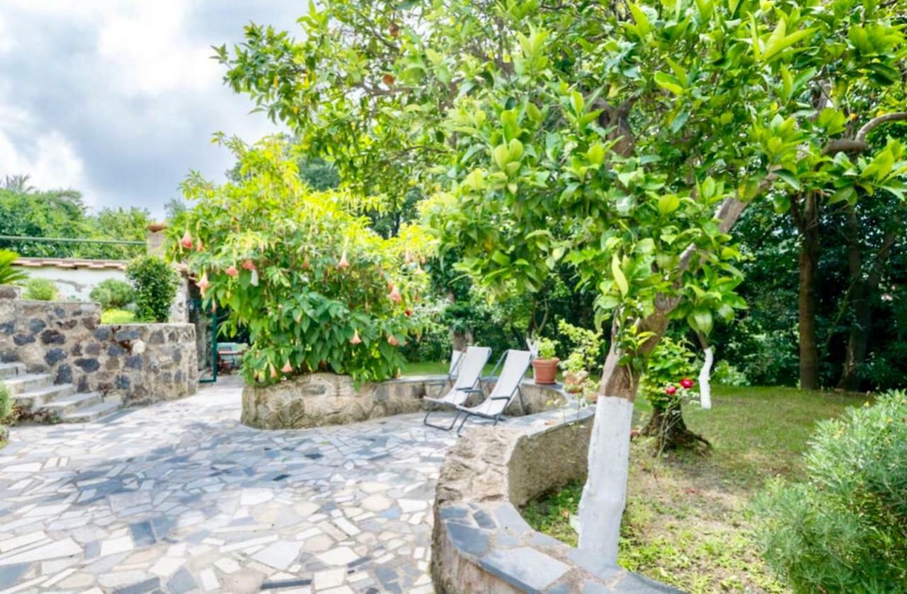 Villa Vincenzo Di Meglio Barano dʼIschia Buitenkant foto