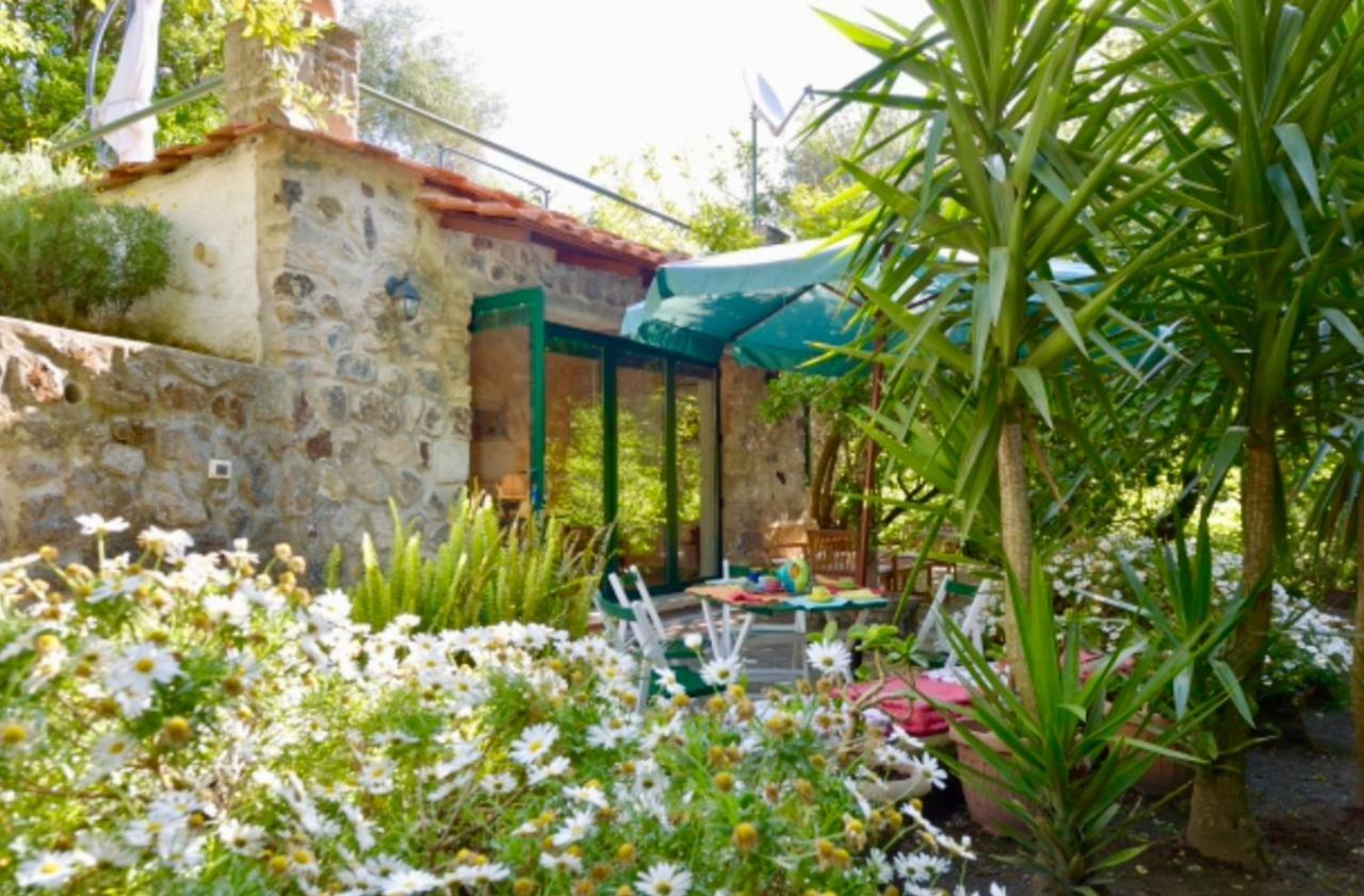 Villa Vincenzo Di Meglio Barano dʼIschia Buitenkant foto
