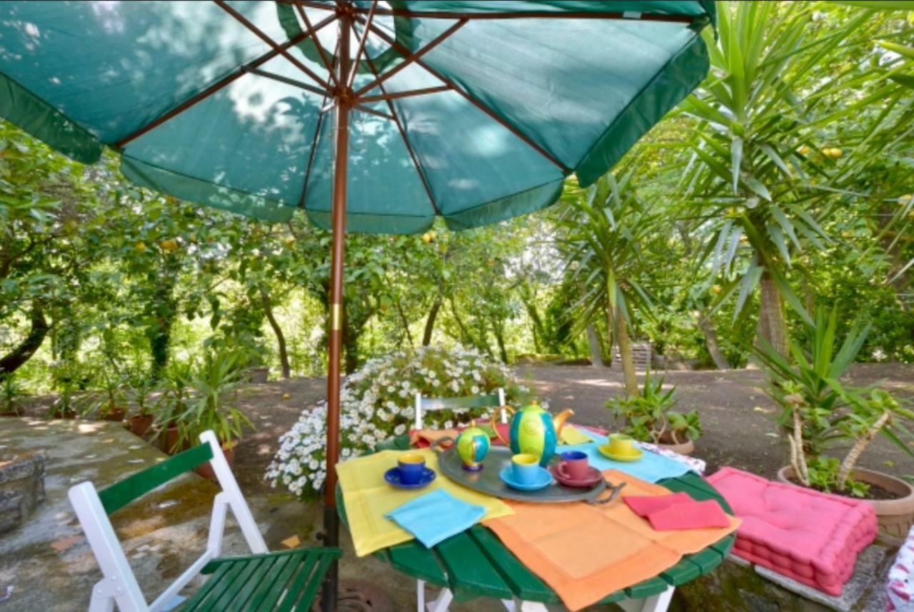 Villa Vincenzo Di Meglio Barano dʼIschia Buitenkant foto