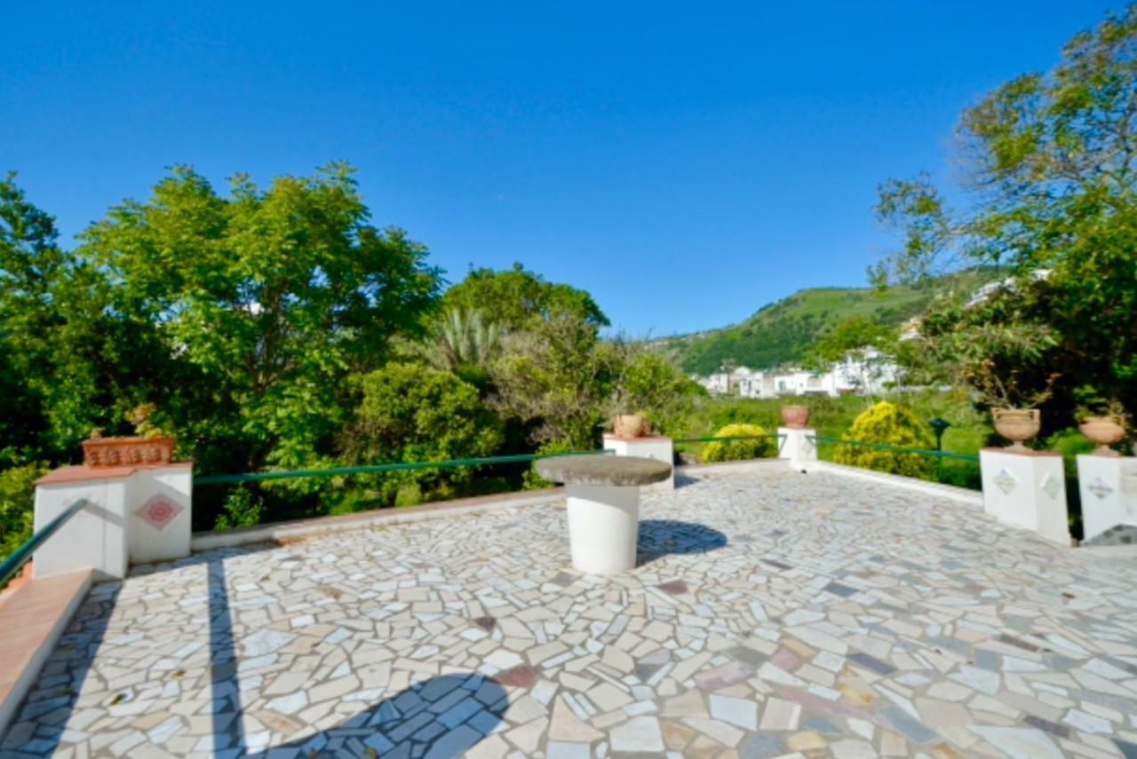 Villa Vincenzo Di Meglio Barano dʼIschia Buitenkant foto